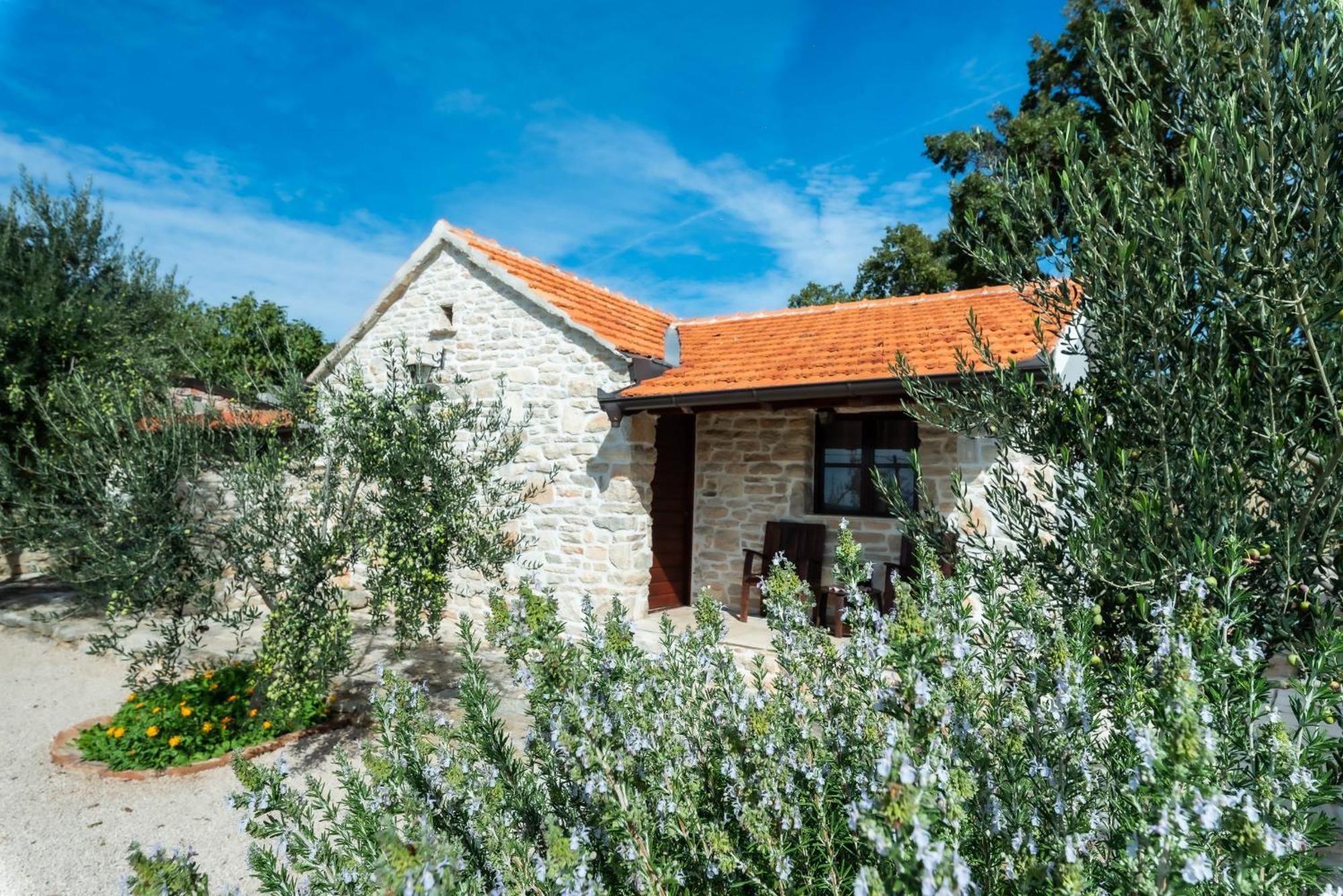 Dalmatian Country House Irena Bruska Extérieur photo